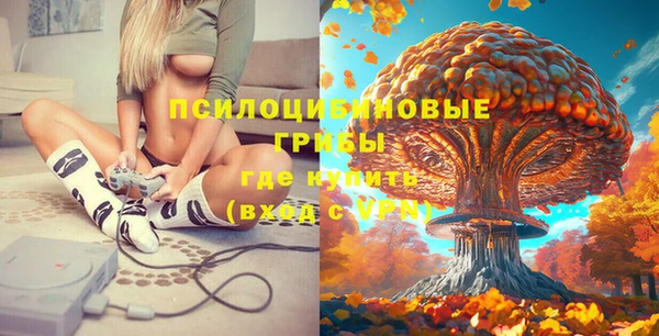 МДПВ Сатка
