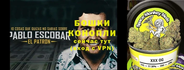 МДПВ Абаза
