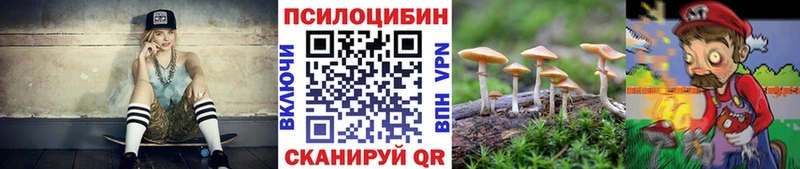 где продают наркотики  Костомукша  Псилоцибиновые грибы мицелий 