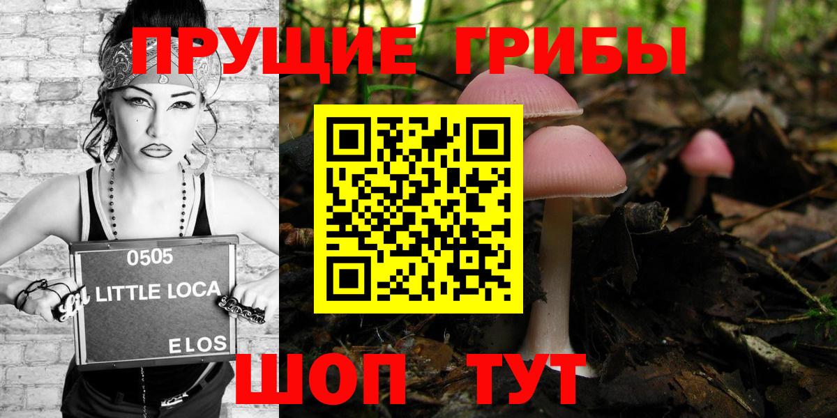 Костомукша  Псилоцибиновые грибы Cubensis  Галлюциногенные грибы Magic Shrooms  Вход с VPN 
