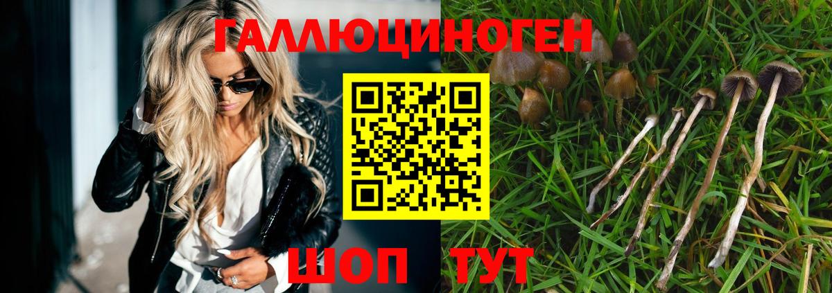 Галлюциногенные грибы ЛСД Костомукша